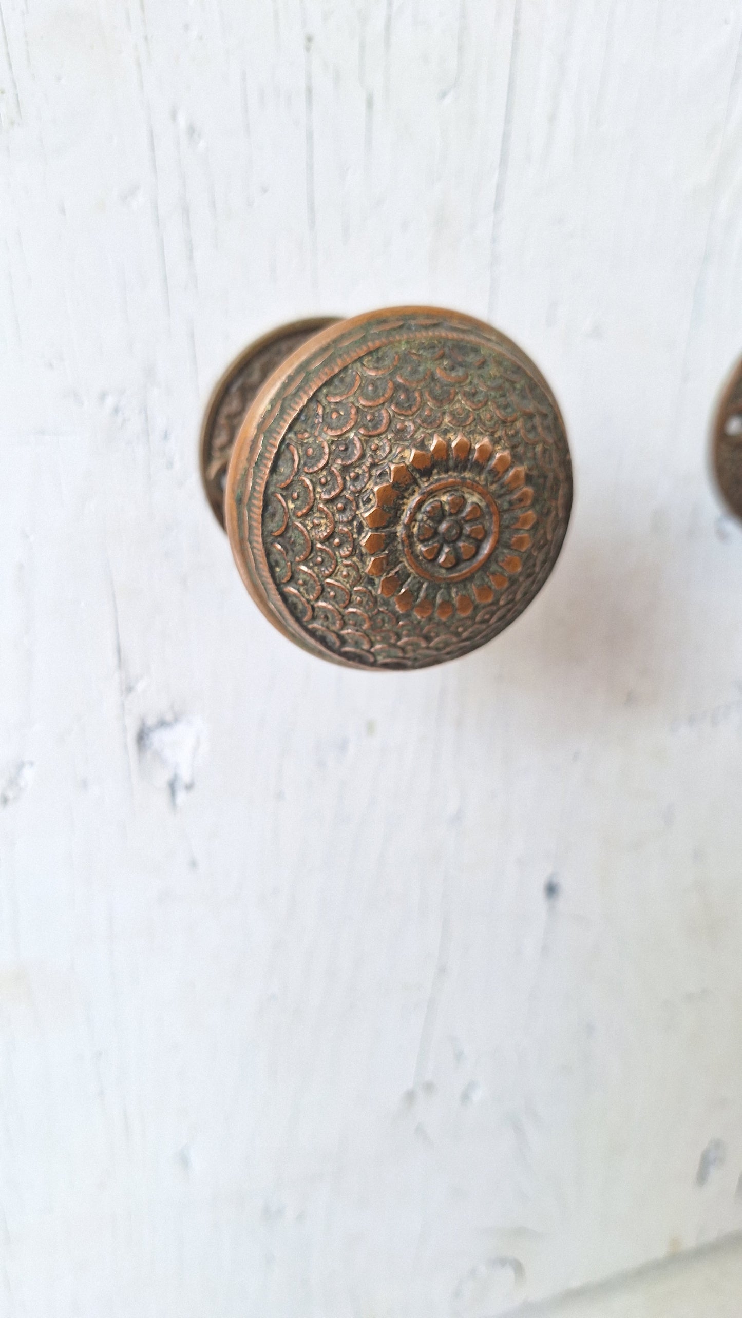 Penn Hardware Daisy Design Doorknobs and Rosetes, Solid Bronze Ornate Doorknobs with Fish Scale Pattern 040209