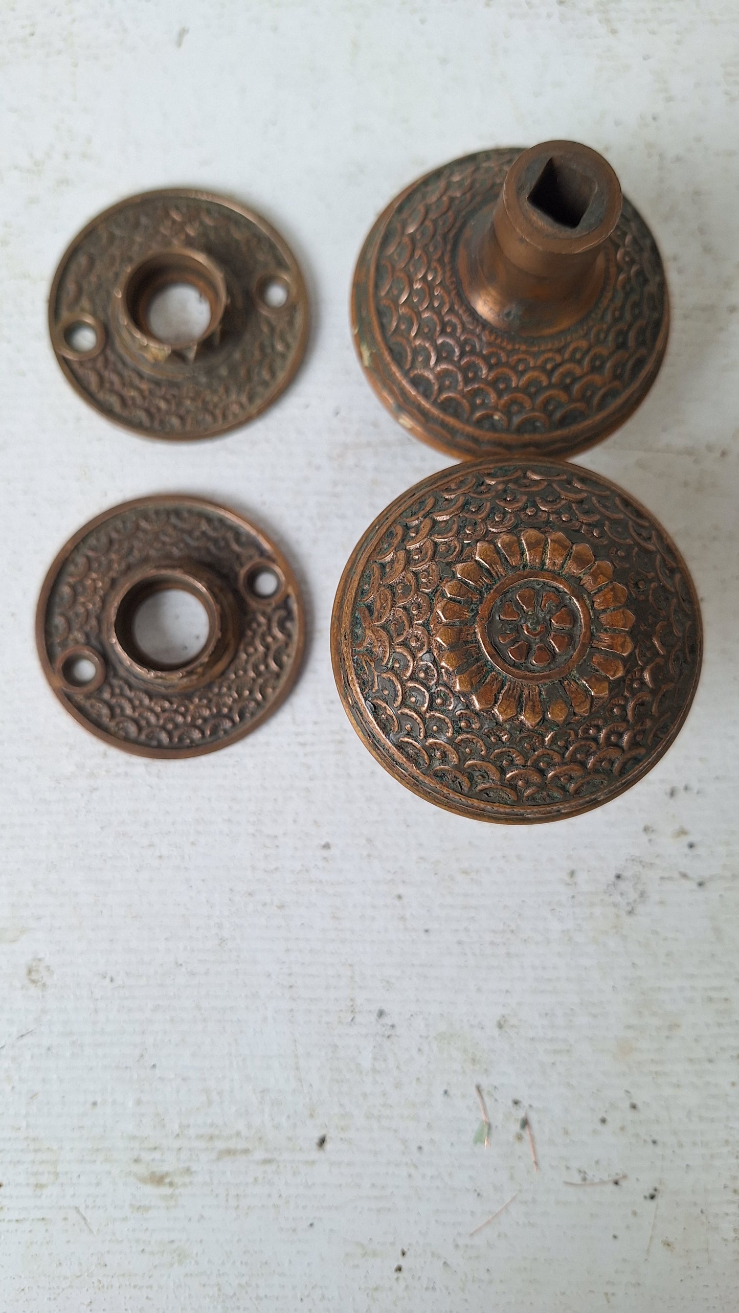 Penn Hardware Daisy Design Doorknobs and Rosetes, Solid Bronze Ornate Doorknobs with Fish Scale Pattern 040209