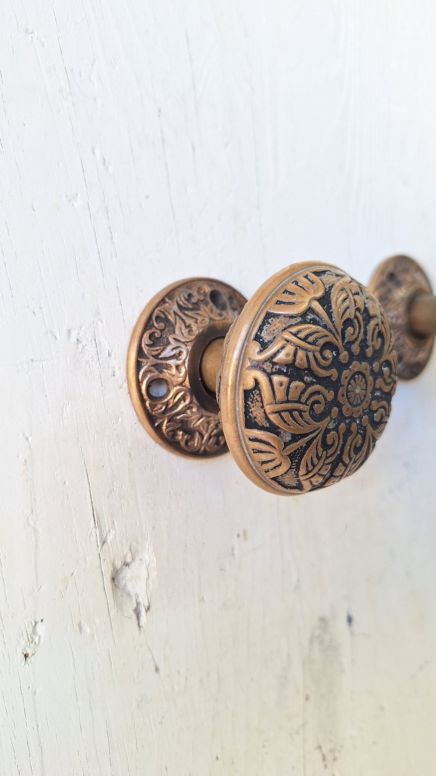 Antique Butterfly Doorknobs and Rosettes by Branford Hardware 1880, Victorian Butterfly Door Knobs 040801