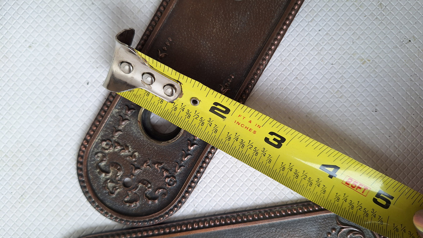 Ornate Solid Bronze Seashell Antique Backplates and Knobs, Fancy Door Escutcheon or Backplates, Set of Door Hardware