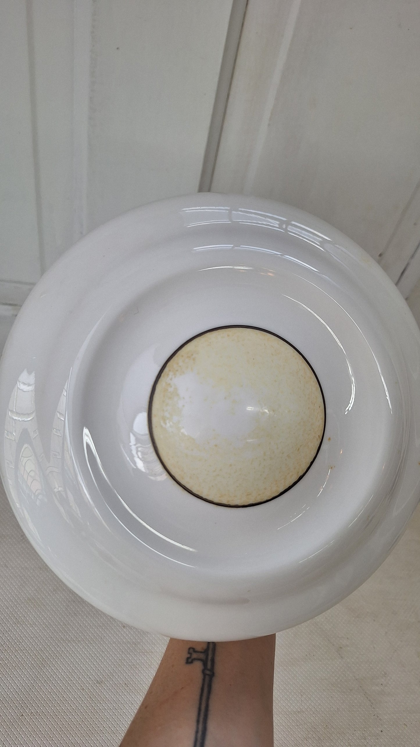 Vintage Painted Bird Pendant Light, Brass Bird Design Hanging Light, Bird and Flower Design Light 072701