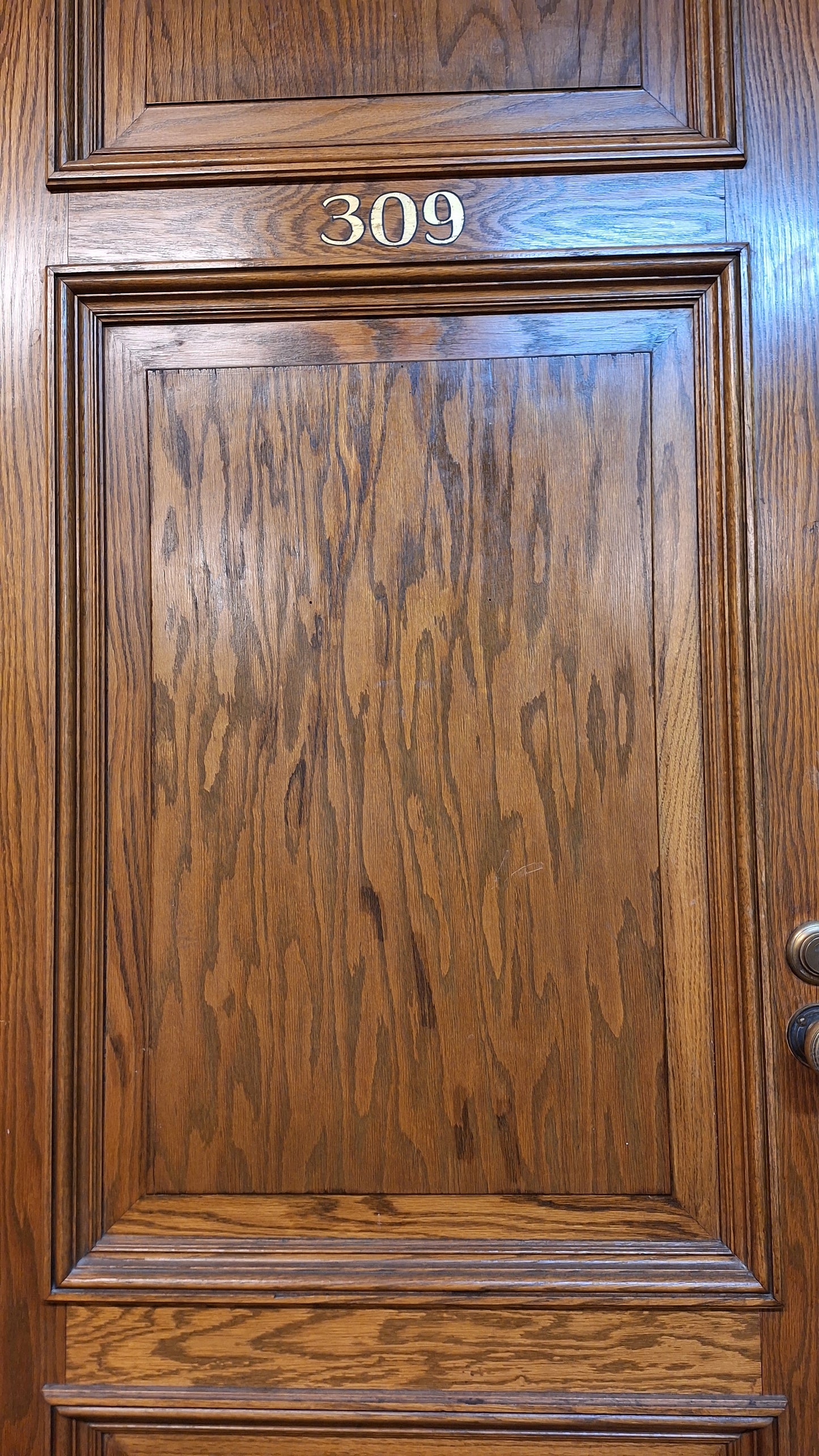 34" Oak Raised Panel Antique Door in Jamb, Interior Antique Passage Door in Frame, Salvaged Wood Door Architecture Salvage 080705