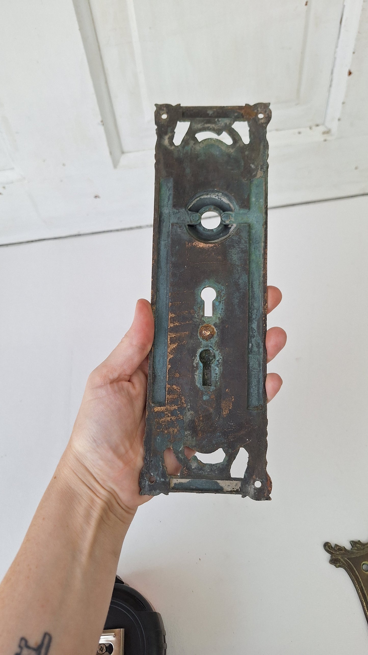 Antique Reading Hardware Bronze Door Large Entry Plate: Colombian Mythical Beast Design