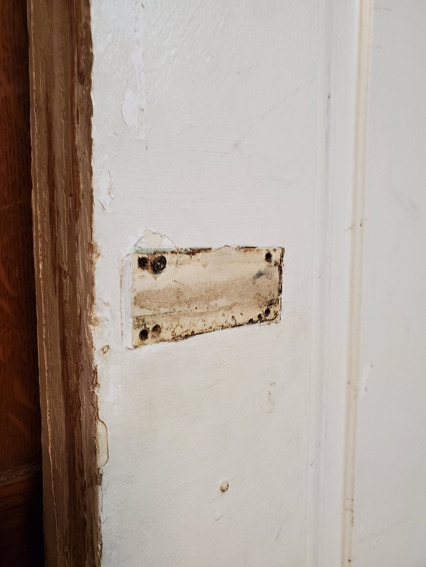 36" Antique Interior Door, White Raised Panel Solid Wood Door