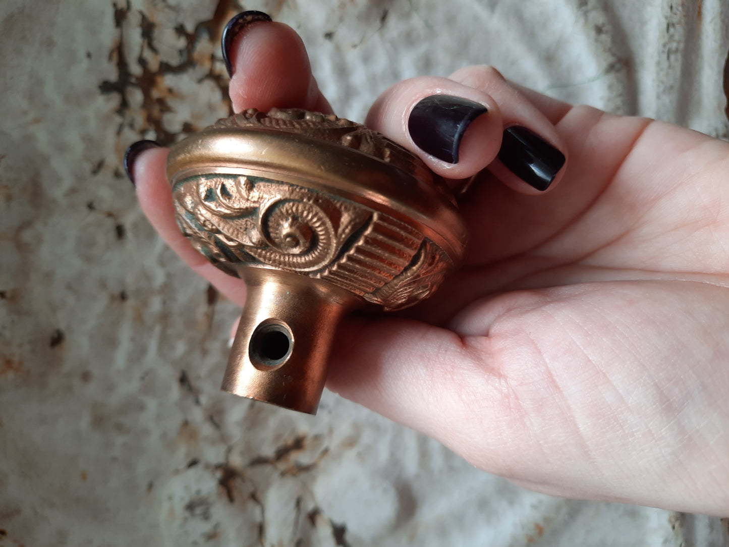 Portulaca Door Knob by Penn ca 1895, Antique Bronze Doorknob Ornate Pattern