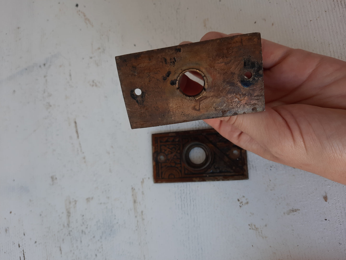 Small Bronze Ceylon Pattern Backplates with No Keyholes, Bronze Eastlake Doorknob Escutcheons