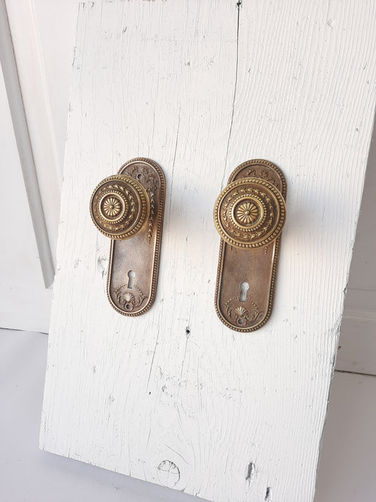 Set of Ornate Solid Bronze Antique Backplates and Knobs, Set of Door Hardware 101706