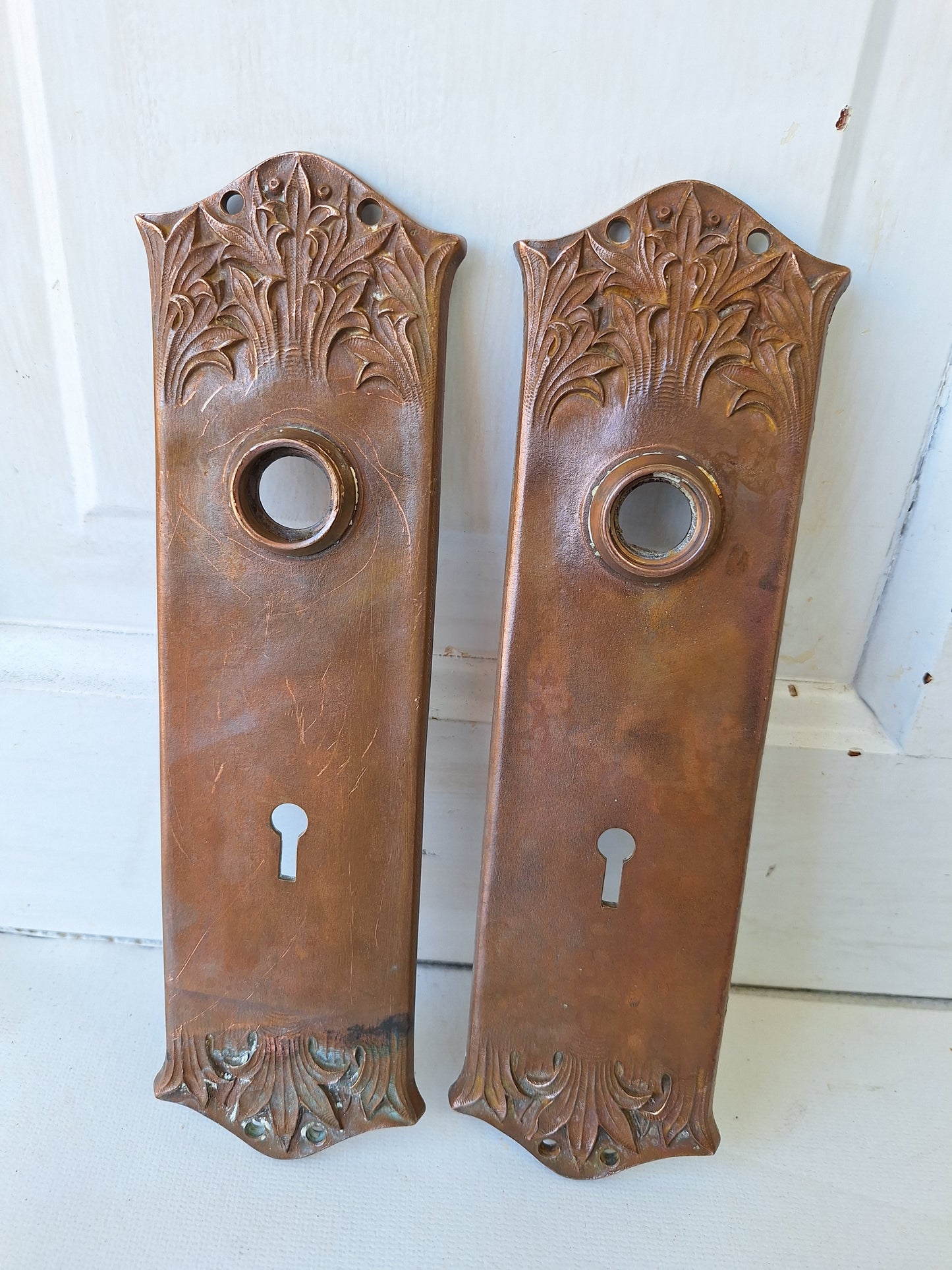 Bronze Backplates by Yale Hardware, Ornate Acanthus Leaf Style Door Knob Plates 040910