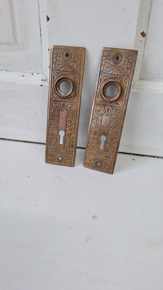 Pair of Cast Iron Ceylon Pattern Doorknob Backplates, Antique Eastlake Iron Escutcheons 123101