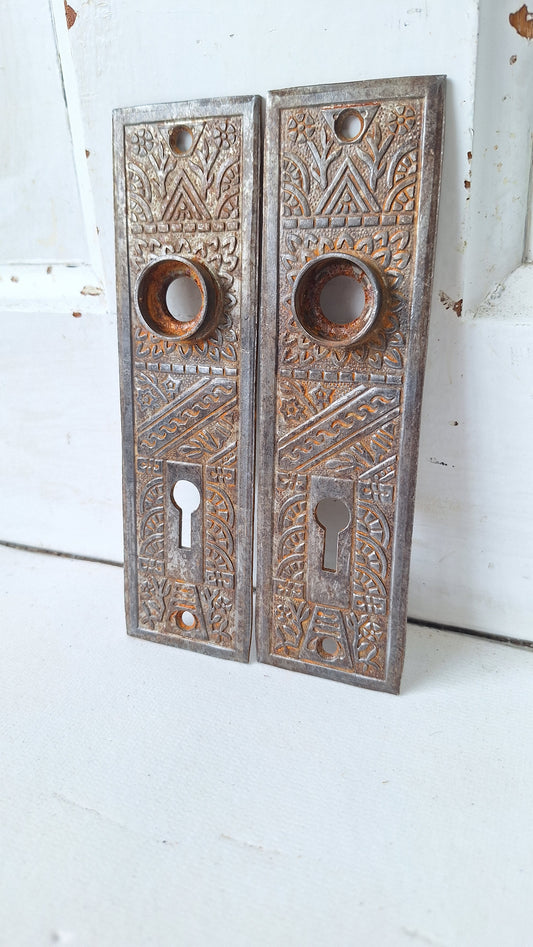 Two Eastlake Brass Backplates, Ceylon Pattern Back Plates, Antique Escutcheons 021502