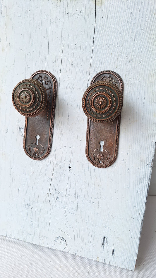Ornate Solid Bronze Seashell Antique Backplates and Knobs, Fancy Door Escutcheon or Backplates, Set of Door Hardware