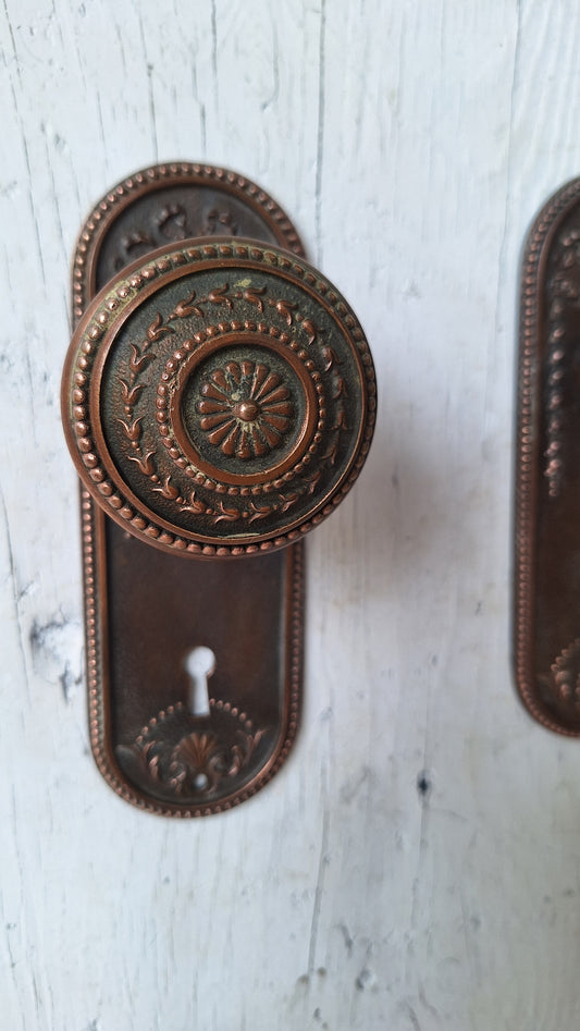 Ornate Solid Bronze Seashell Antique Backplates and Knobs, Fancy Door Escutcheon or Backplates, Set of Door Hardware