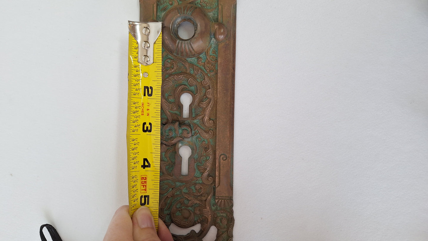 Antique Reading Hardware Bronze Door Large Entry Plate: Colombian Mythical Beast Design