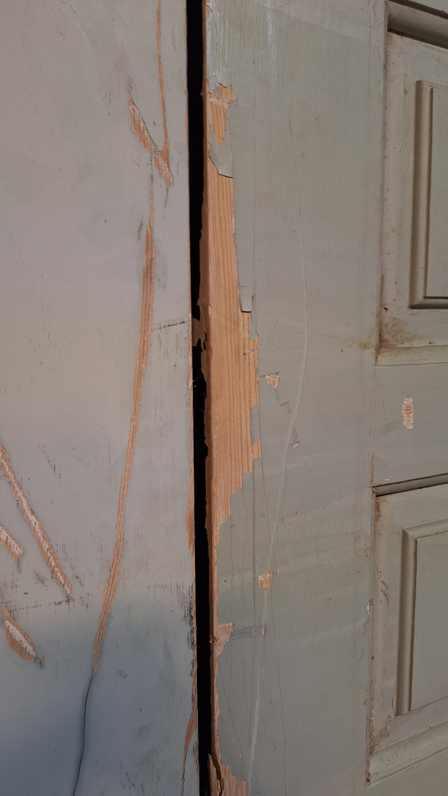 60" Pair of Mid Century Doors: Vintage MCM Paneled Double Entry Doors