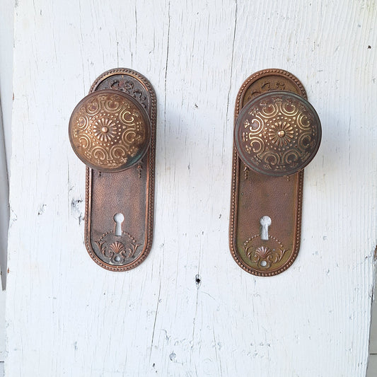Ornate Solid Bronze Seashell Antique Backplates and Knobs, Set of Door Hardware