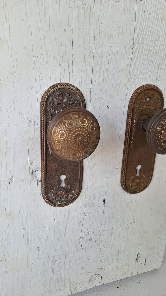Ornate Solid Bronze Seashell Antique Backplates and Knobs, Set of Door Hardware