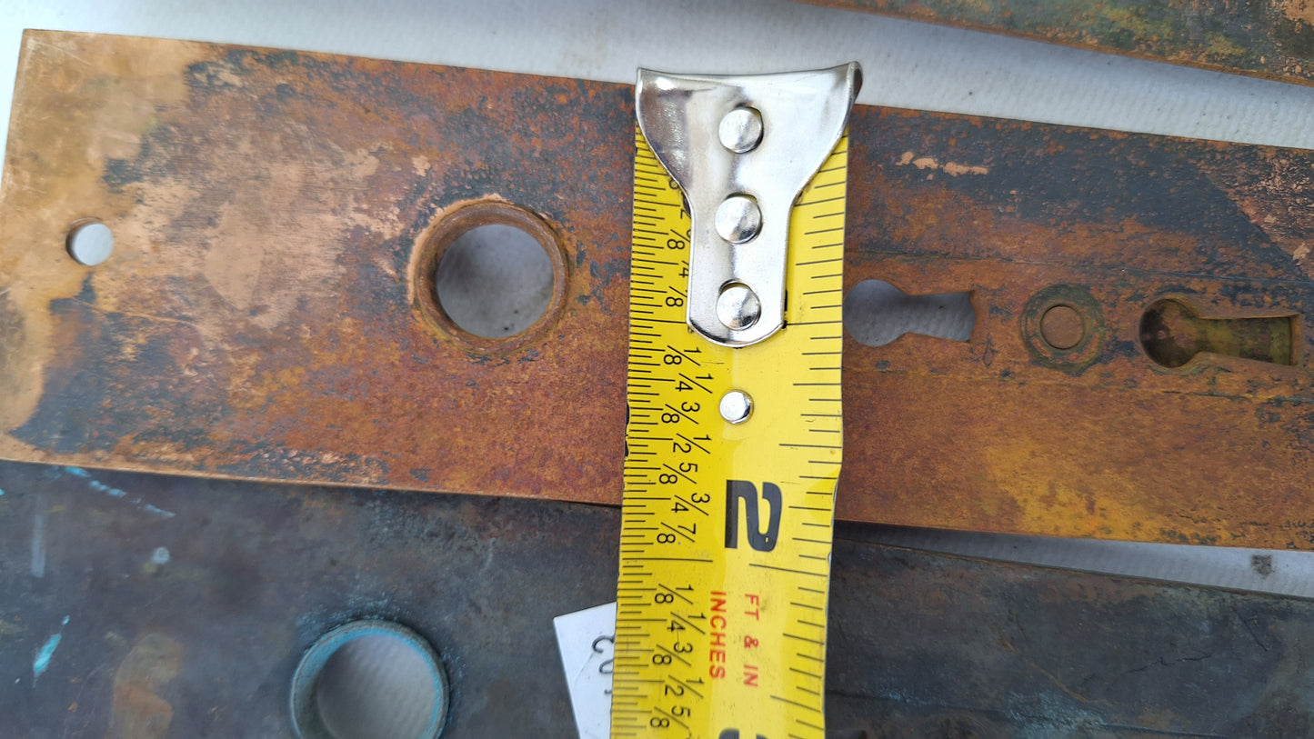 Eastlake Bronze Plate with Double Keyhole, Ceylon Pattern Entry Door Knob Backplate