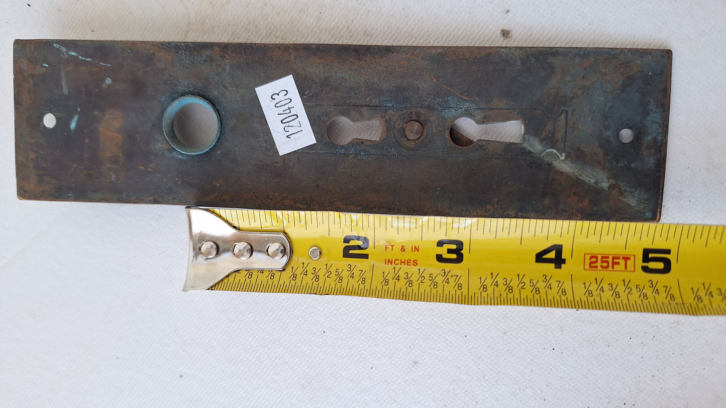 Eastlake Bronze Plate with Double Keyhole, Ceylon Pattern Entry Door Knob Backplate