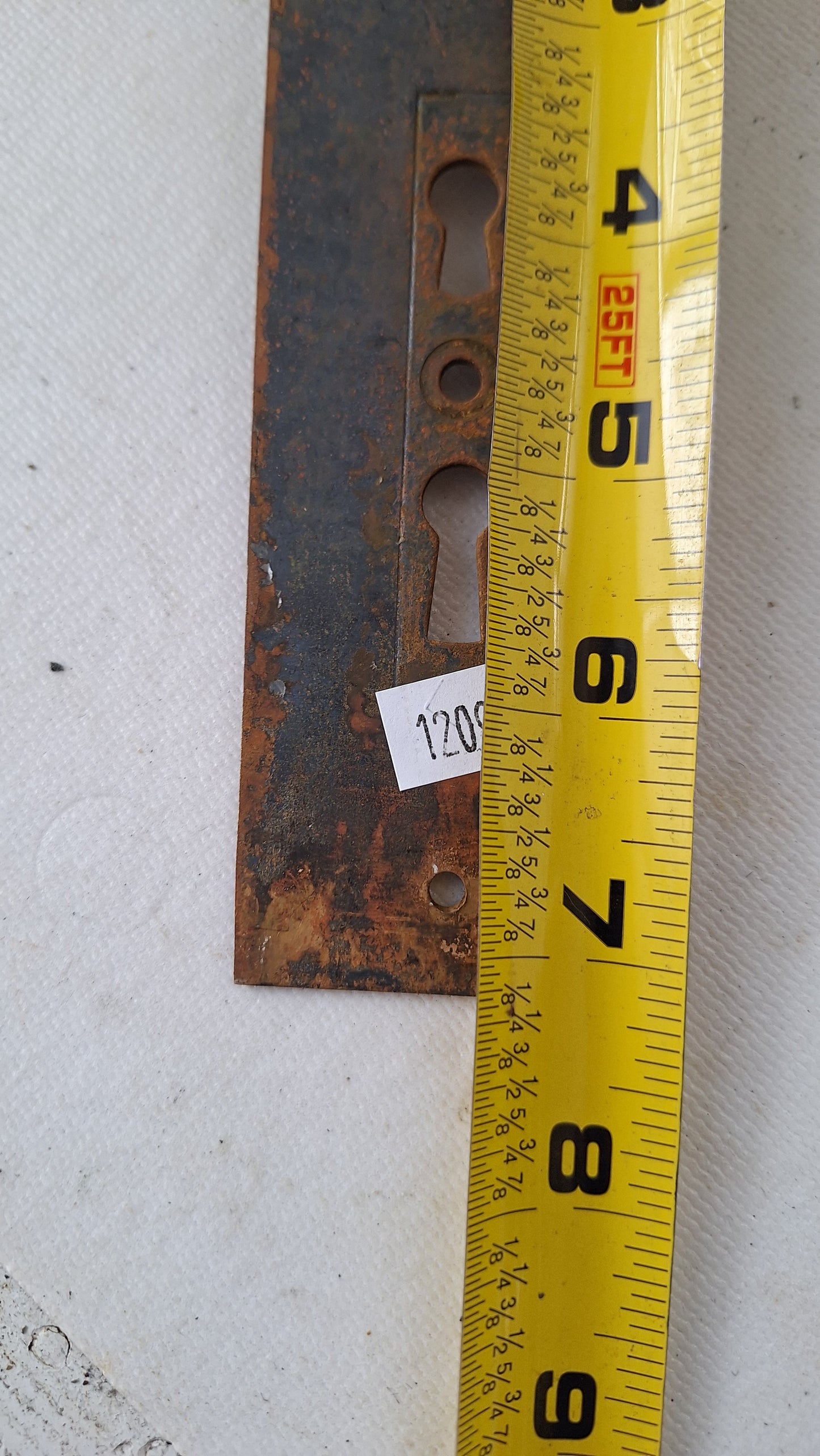 Eastlake Bronze Plate with Double Keyhole, Ceylon Pattern Entry Door Knob Backplate