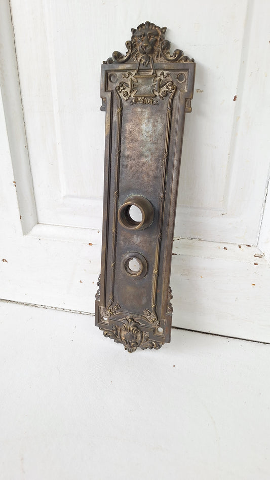 Lion's Head Large Solid Bronze Entry Backplate