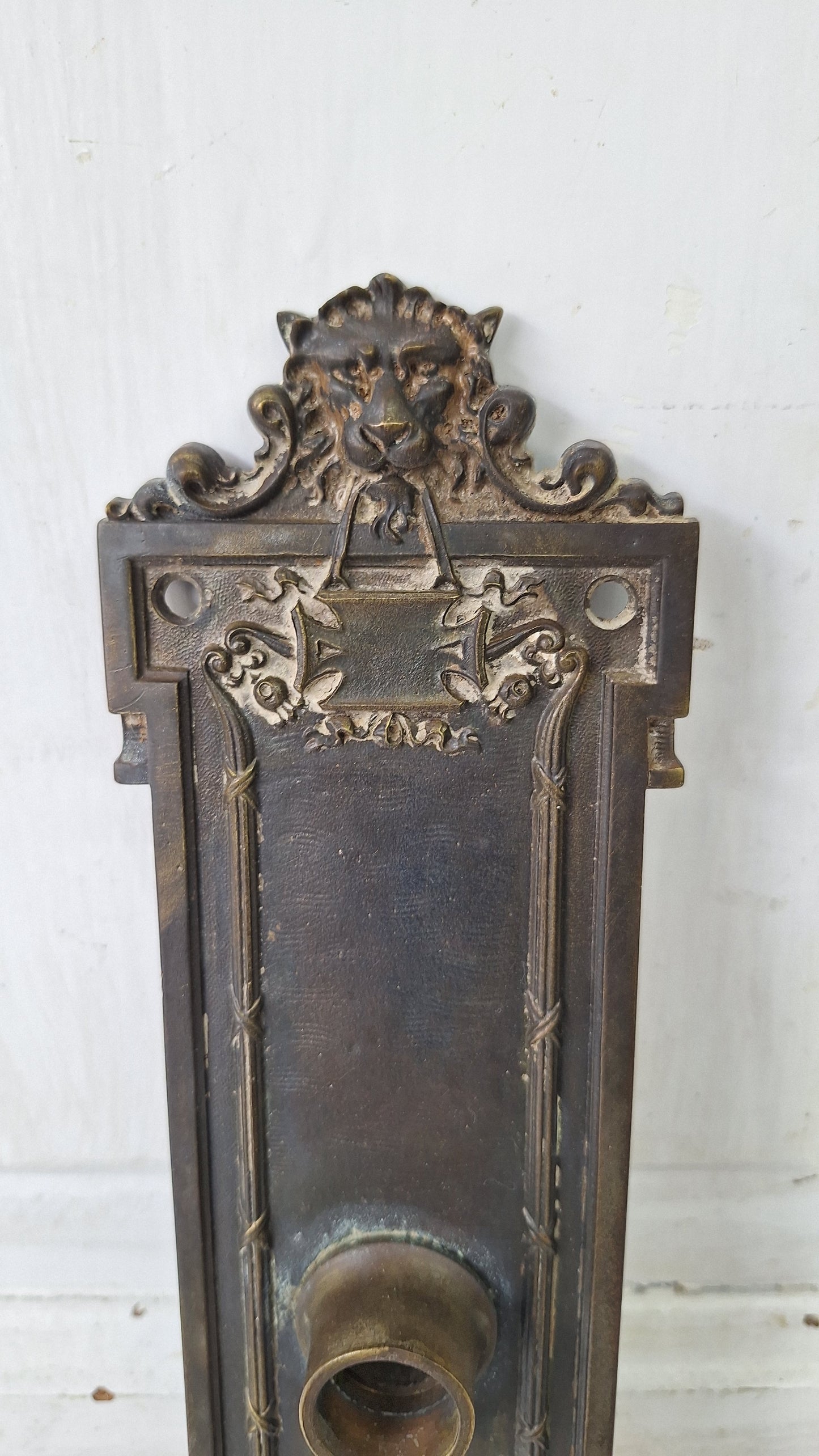 Lion's Head Large Solid Bronze Entry Backplate