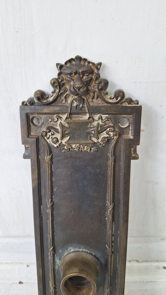 Lion's Head Large Solid Bronze Entry Backplate