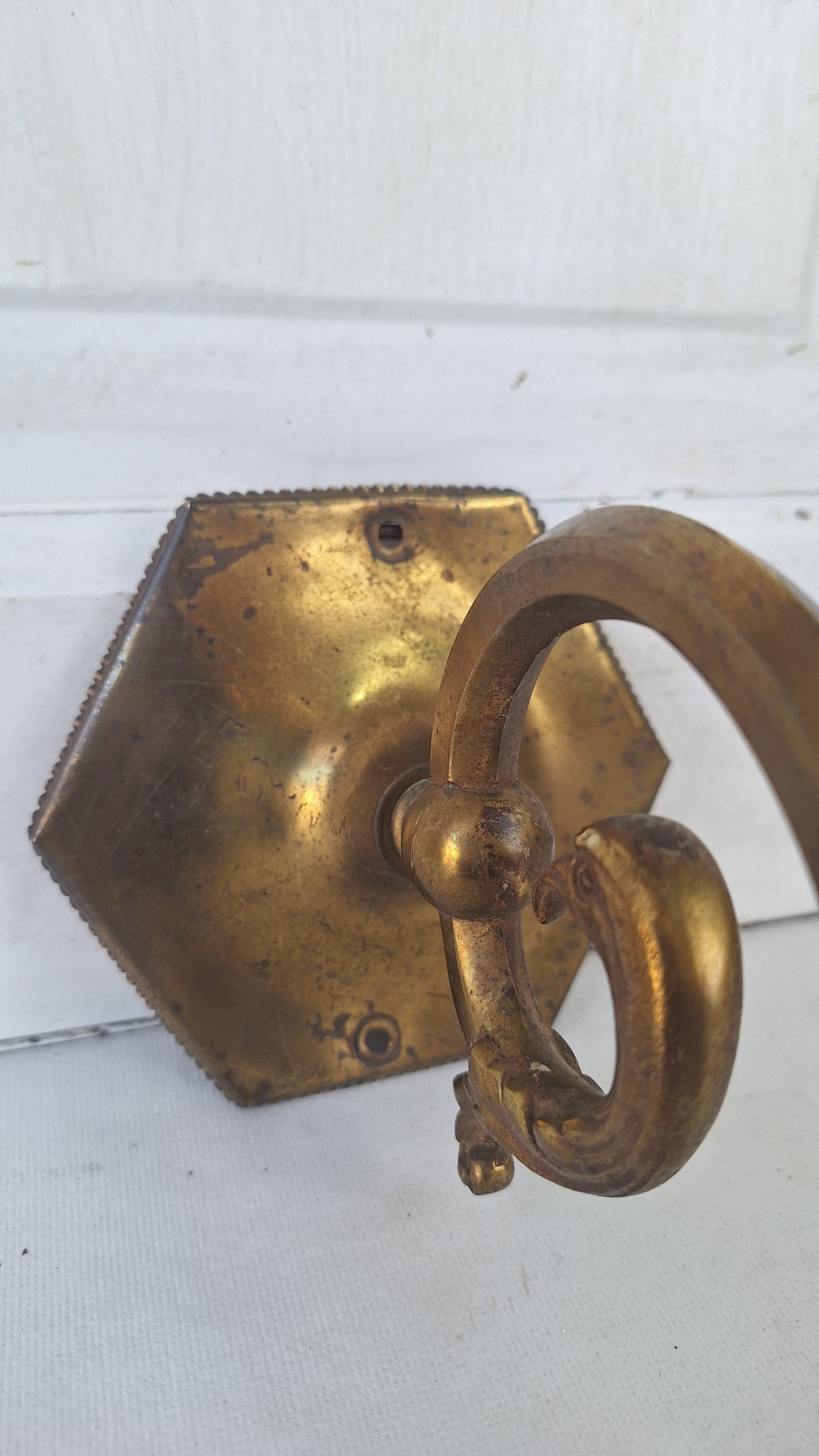 Antique Brass Sconces with Etched Glass Shades and Bird Carvings