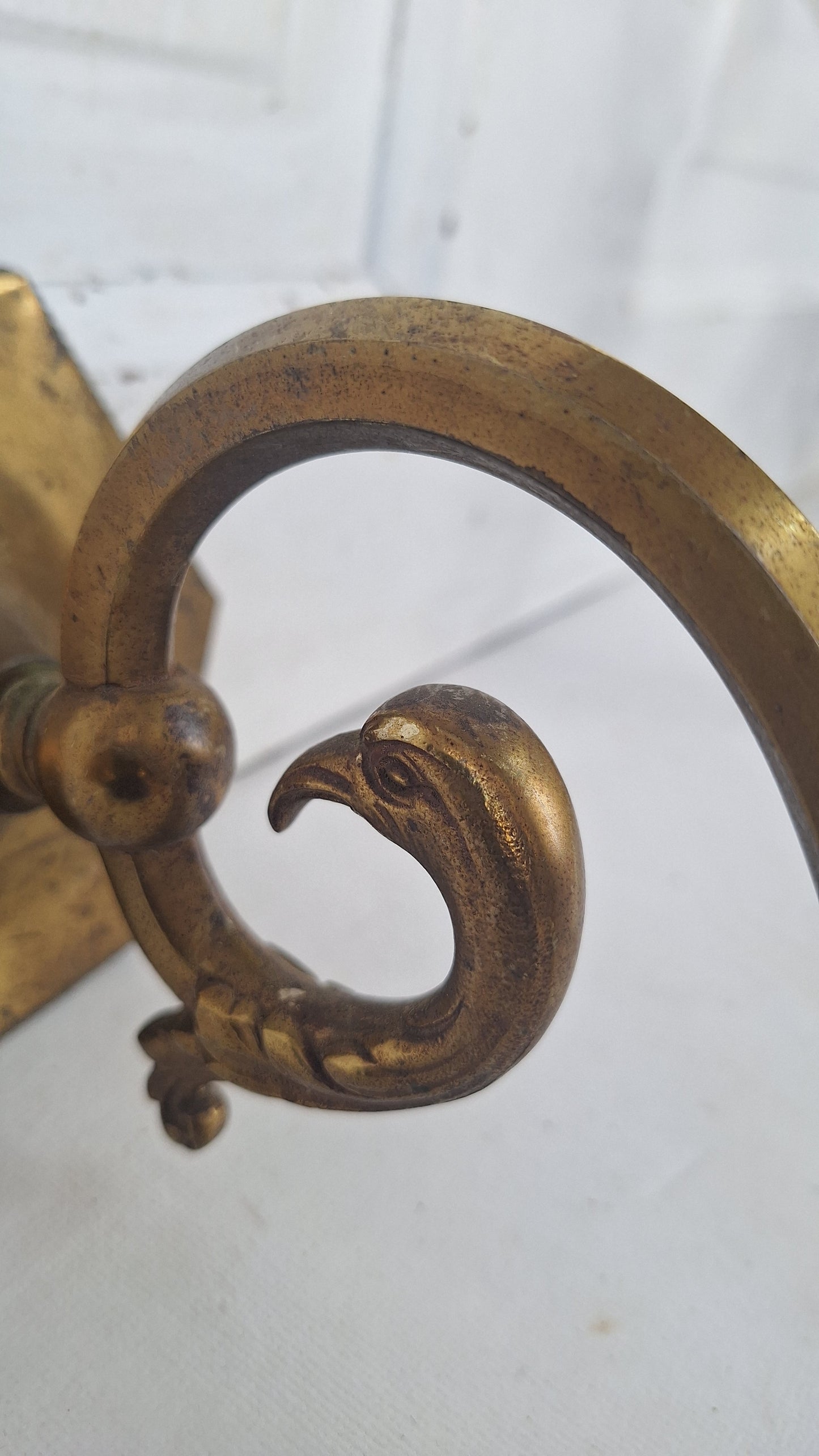 Antique Brass Sconces with Etched Glass Shades and Bird Carvings