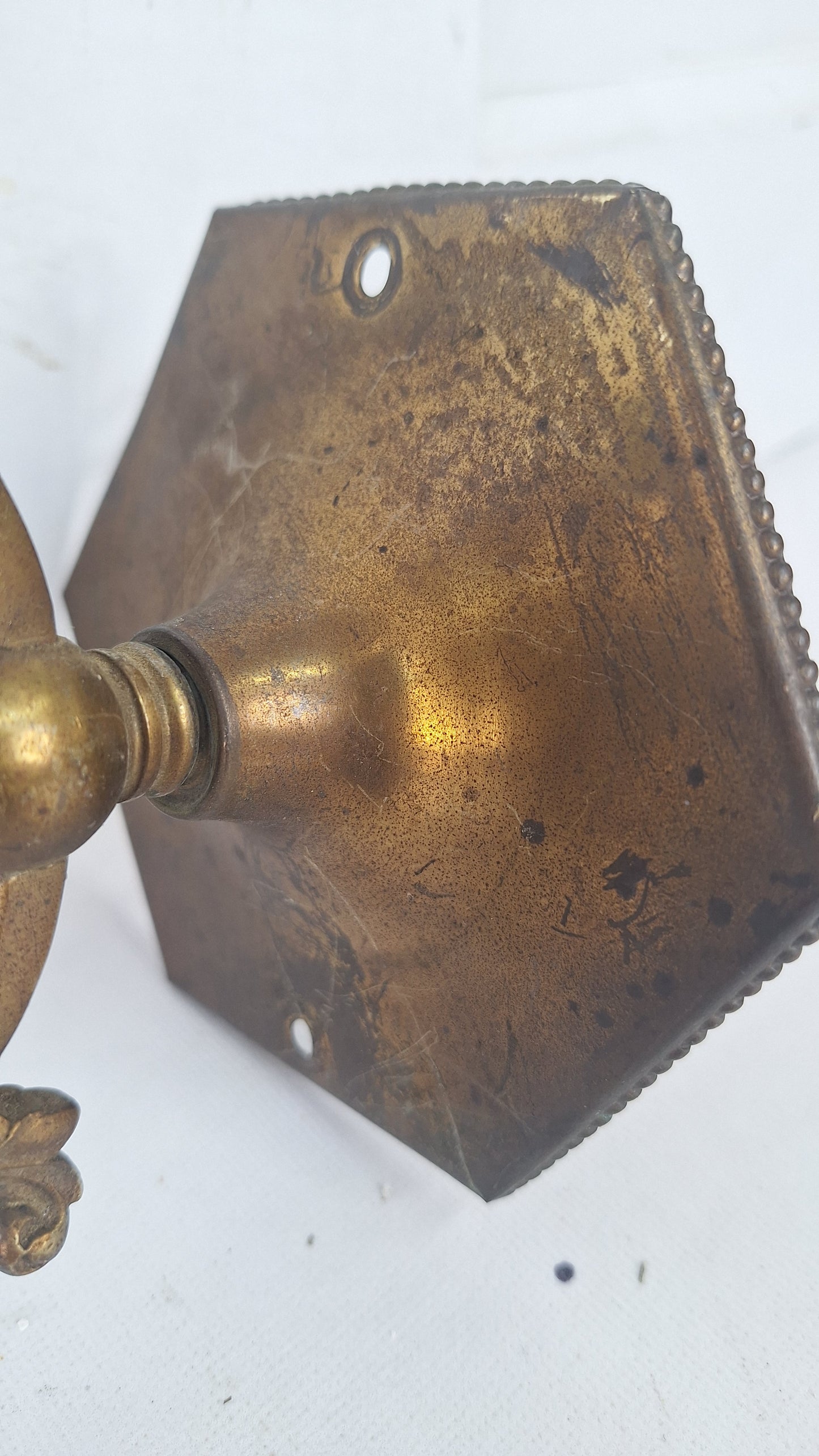 Antique Brass Sconces with Etched Glass Shades and Bird Carvings