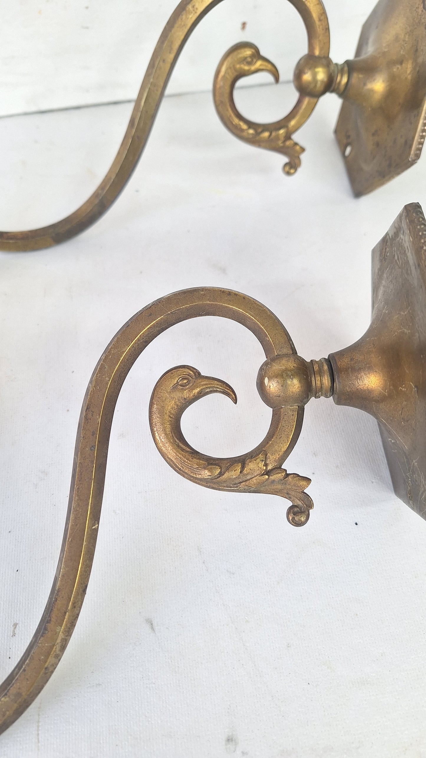 Antique Brass Sconces with Etched Glass Shades and Bird Carvings