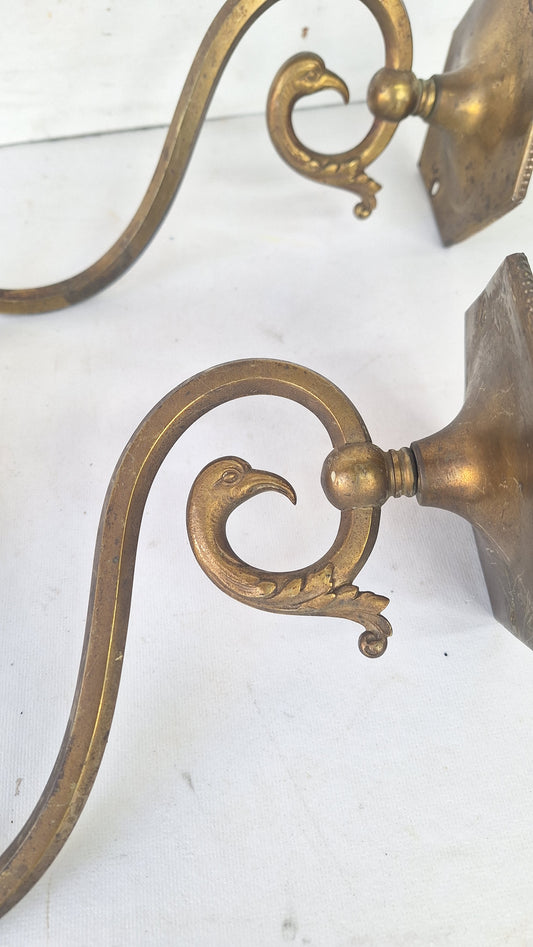 Antique Brass Sconces with Etched Glass Shades and Bird Carvings