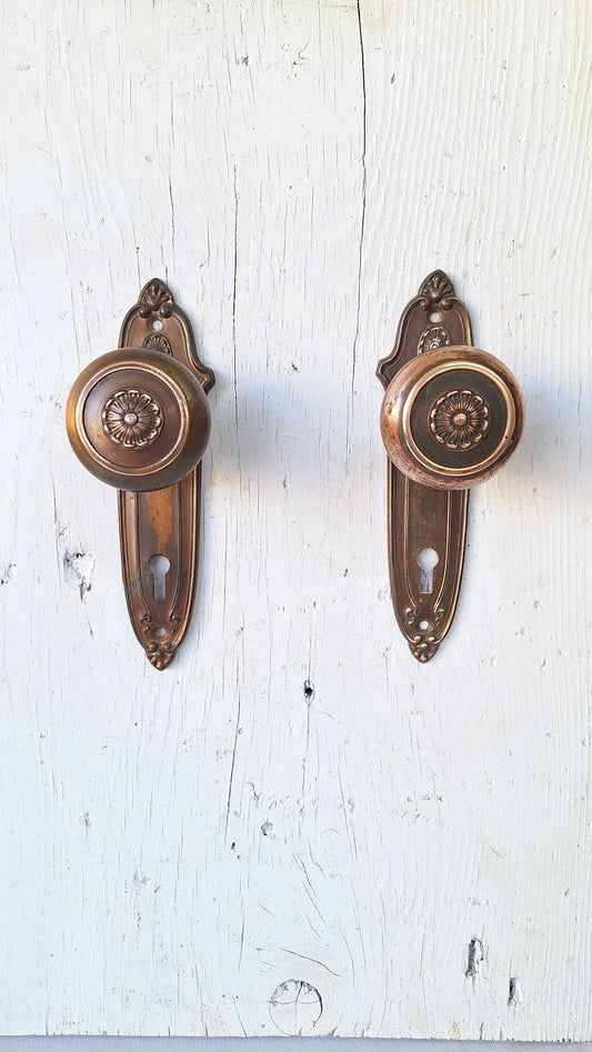 Fancy Designed Door Knobs & Plates Hardware, Ornate Brass Doorknobs and Backplates