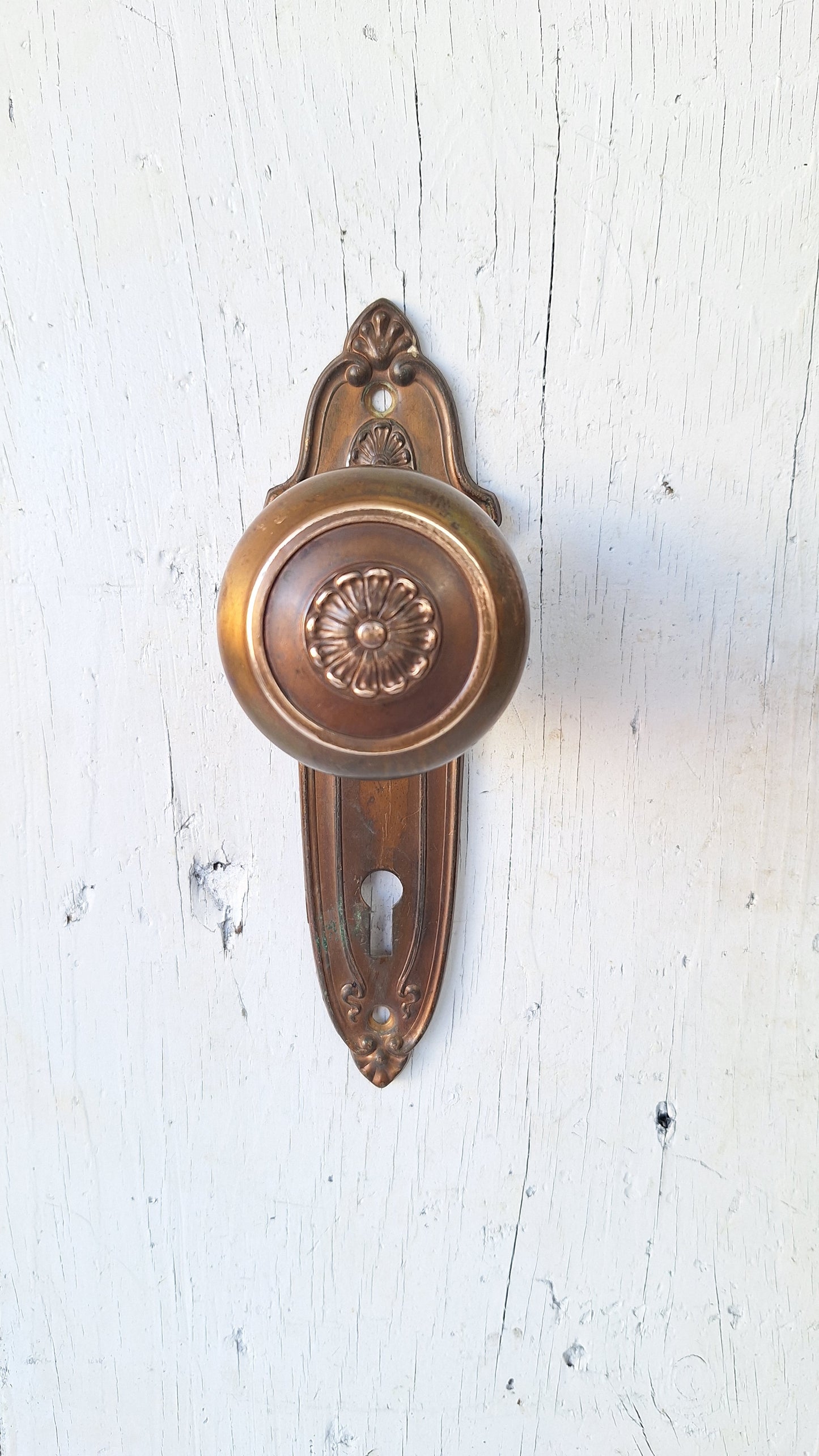 Fancy Designed Door Knobs & Plates Hardware, Ornate Brass Doorknobs and Backplates