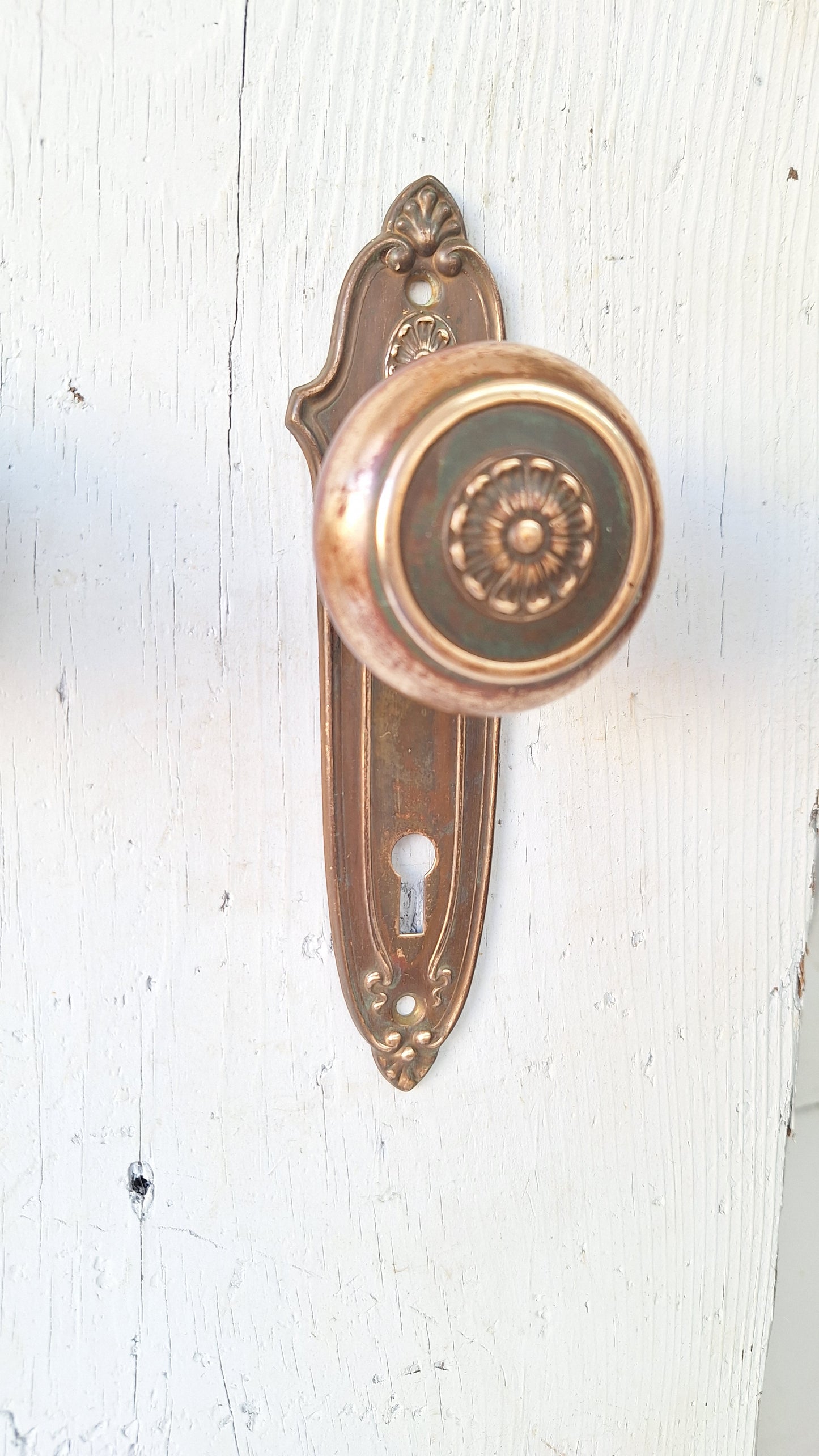 Fancy Designed Door Knobs & Plates Hardware, Ornate Brass Doorknobs and Backplates
