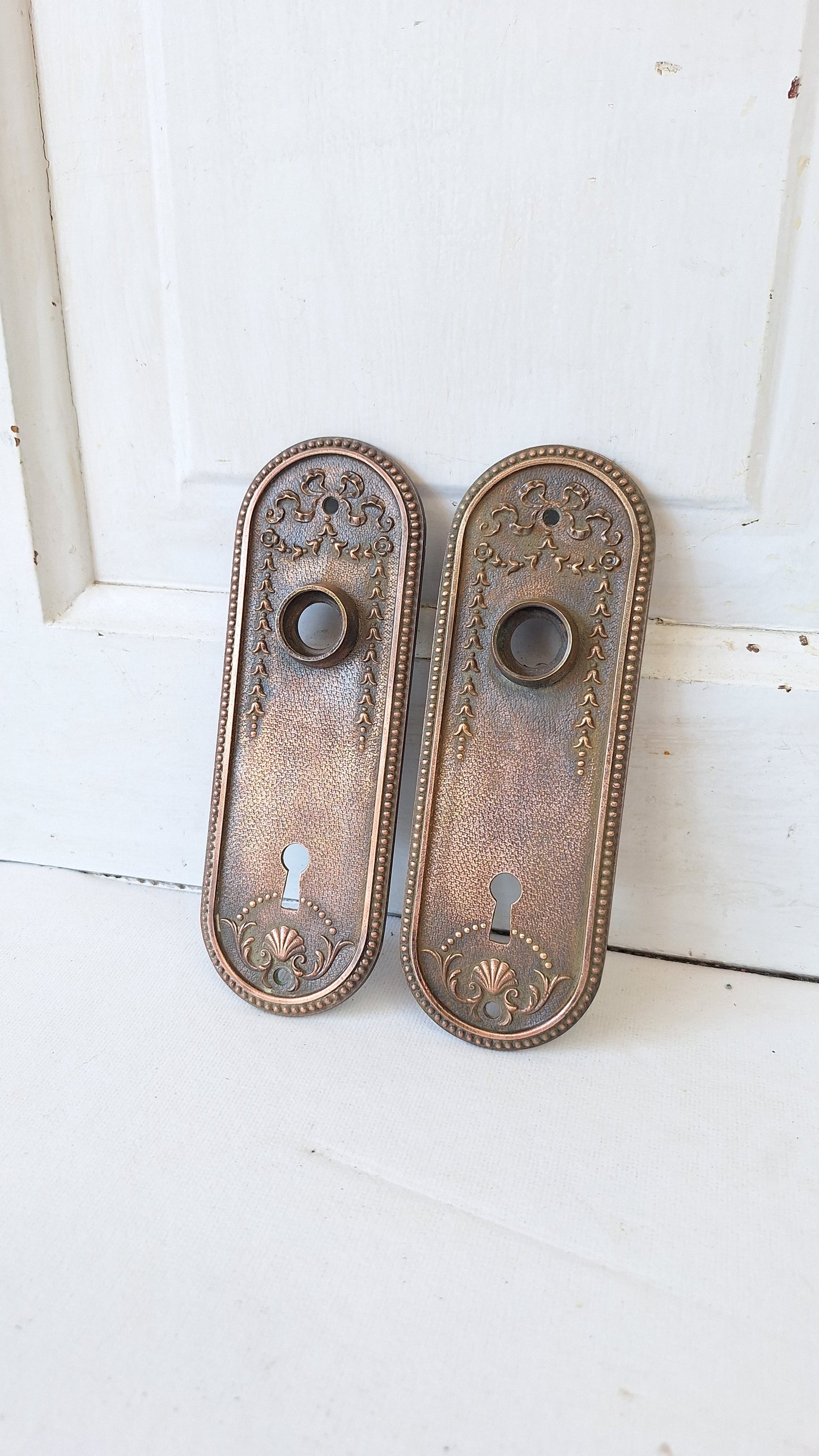 Ornate Solid Bronze Seashell Antique Backplates, Set of Door Hardware