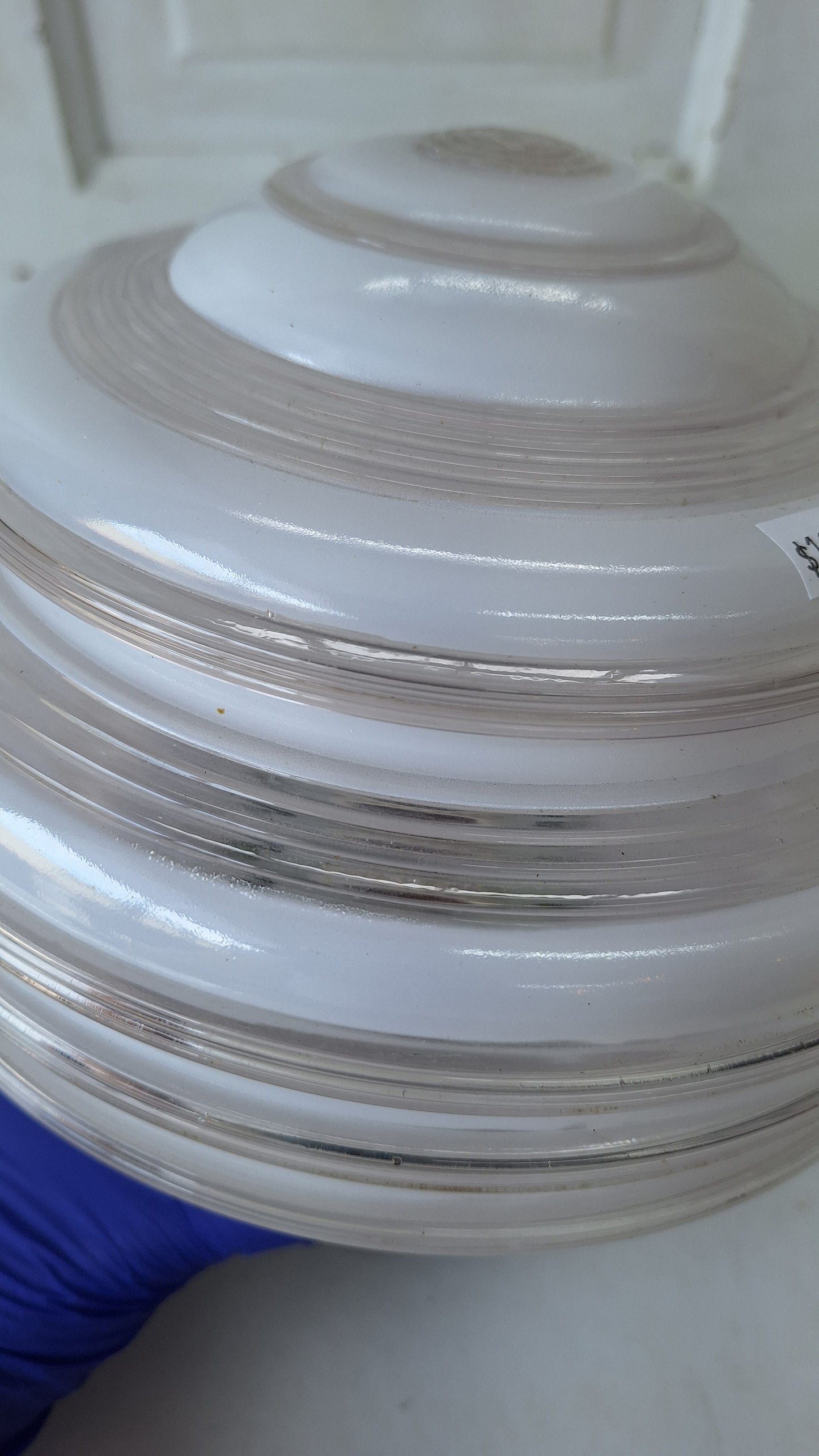 Beehive Two Tone Flush Mount Light, White Clear Glass Ceiling Light