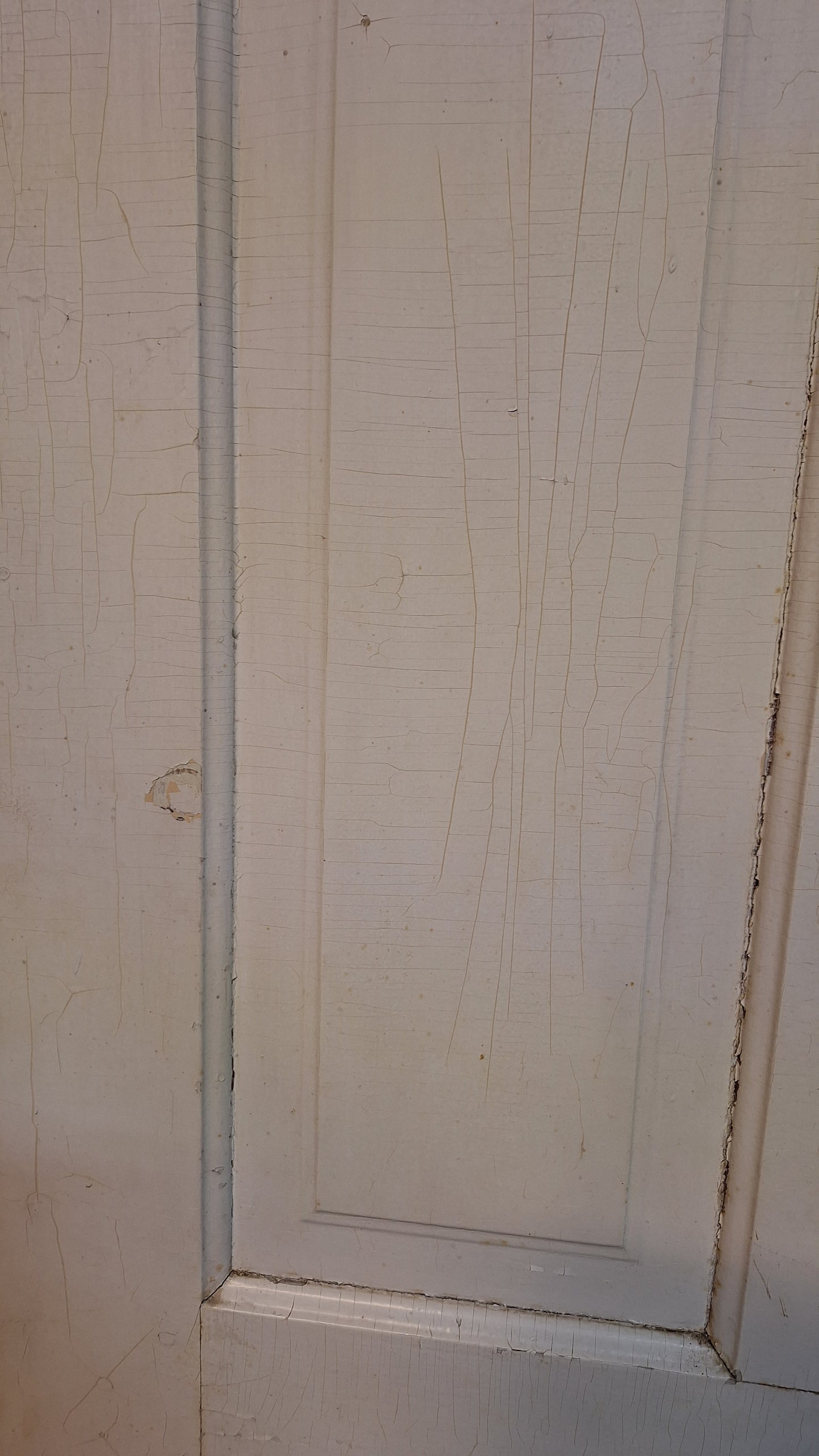 Arched Top Antique Door Set, Pair of Rounded Top Double Doors