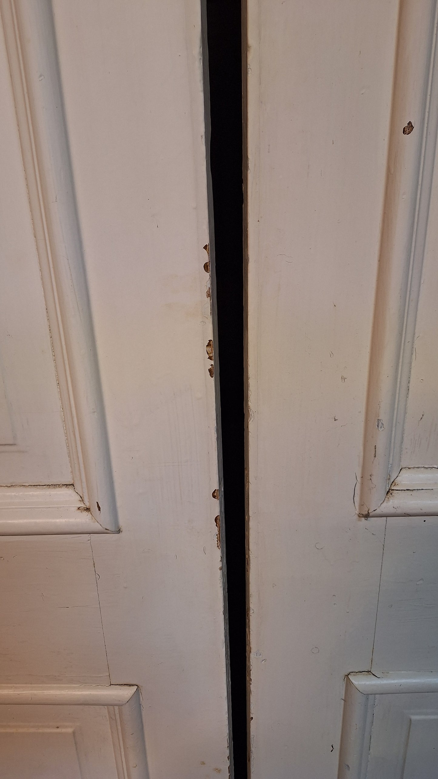Arched Top Antique Door Set, Pair of Rounded Top Double Doors