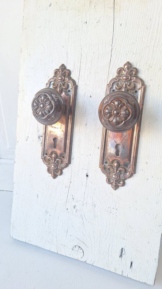 Pair of Stamped Floral Pattern Steel Backplates, Antique Doorknob Plates