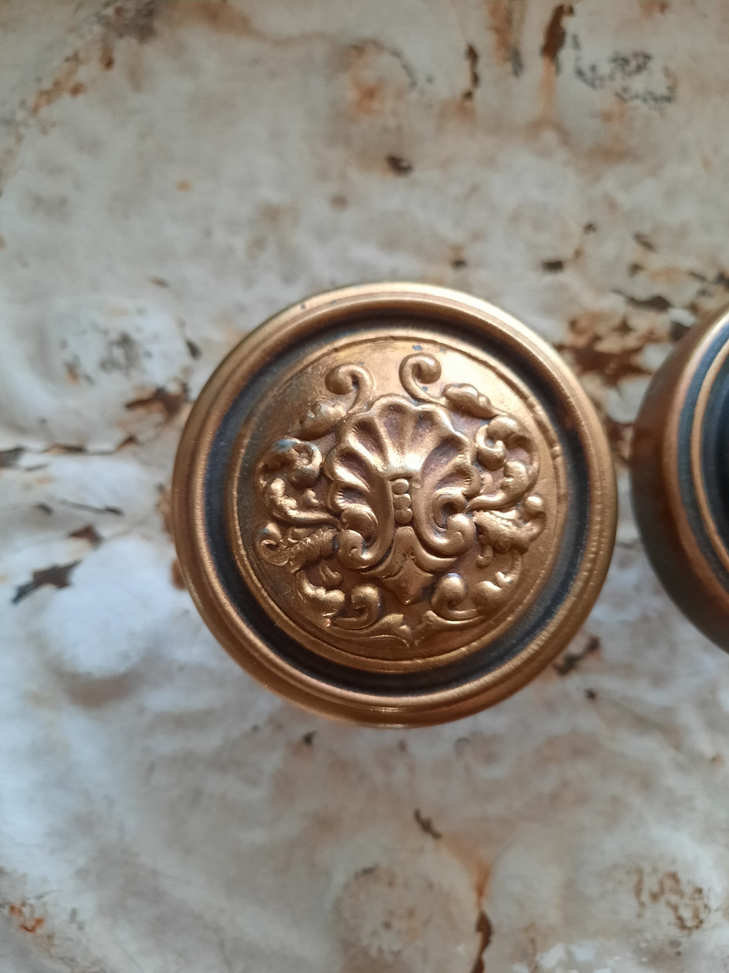 Pair of Stamped Bronze Fenmore Pattern Knobs, Antique Shell Design Doorknobs by Reading